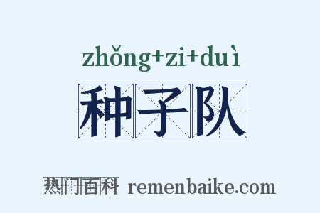 种子队是什么意思的图片